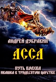 Ивашка в тридесятом царстве Книга 5: Асса (Андрей Дубравин)