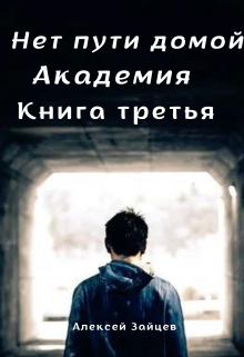 Нет пути домой. Академия. (3 книга) (Алексей Зайцев)