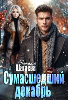 Сумасшедший декабрь (Наталья Шагаева)